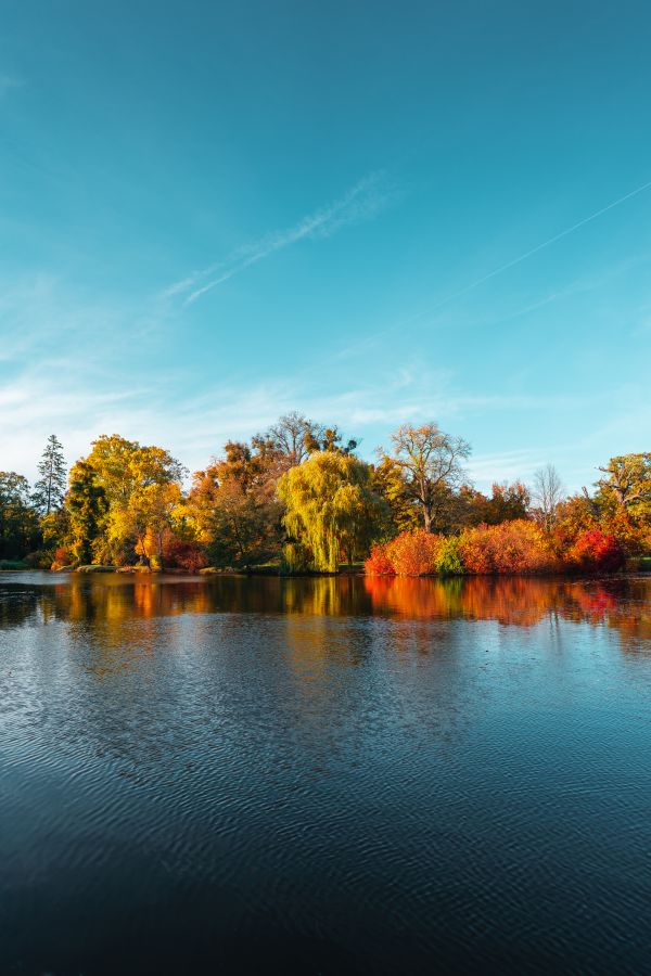 Beautiful Autumn Lake Free Photo