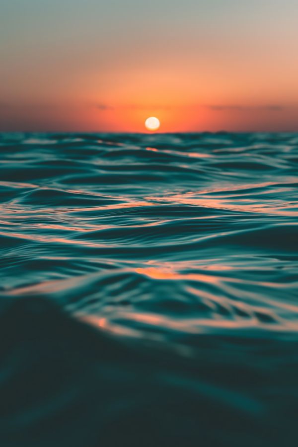 Beautiful Close Up of Calm Sea Surface at Sunset Free Image