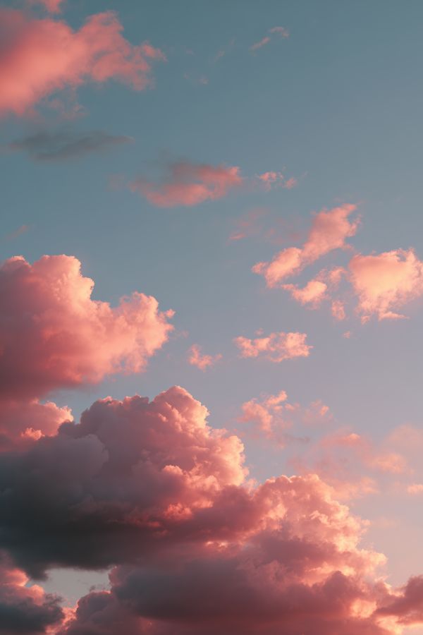Beautiful Pink Clouds Before Sunset Free Image