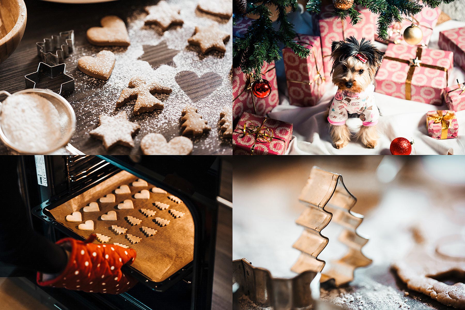 Download hi-res stock photos from our Christmas Photos Vol. 1 PREMIUM Collection!