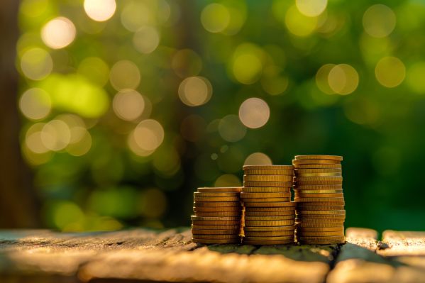 Coins on Wooden Surface with Natural Background Free Image