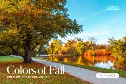 Click here to see Colors of Fall PREMIUM Collection!