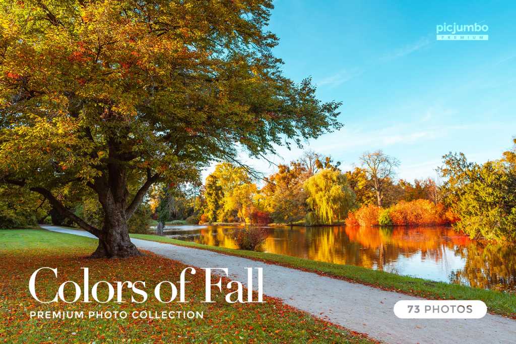 Colors of Fall Photo Collection
