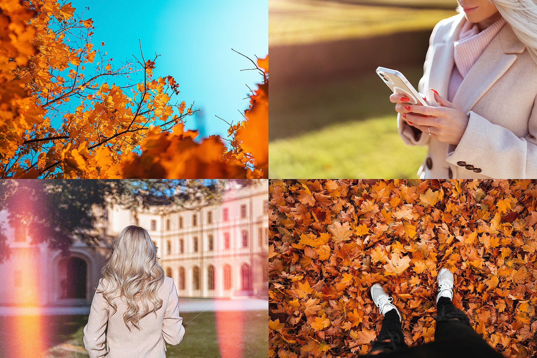 Download hi-res stock photos from our Colors of Fall PREMIUM Collection!