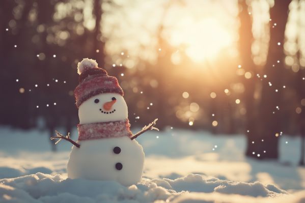 Cute Snowman Free Image