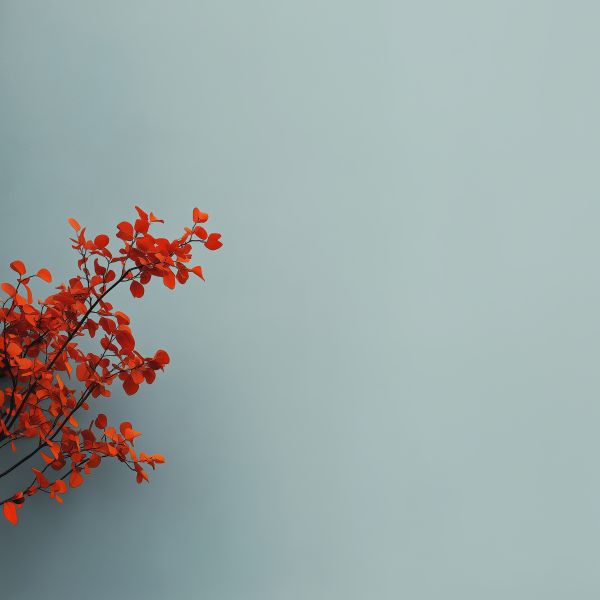 Fall Background with Space for Text Free Image