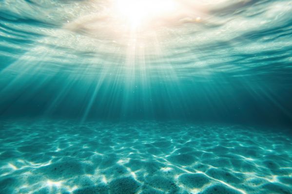 Free Background of Calm Clear Water Surface With White Sandy Bottom Free Image