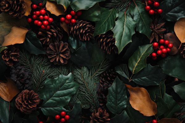 Free Christmas Background Free Image