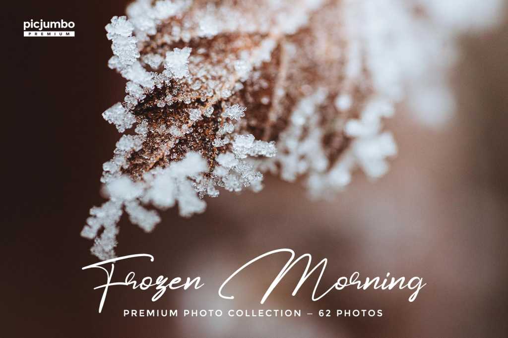 Frozen Morning Photo Collection