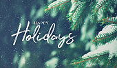 Happy Holidays Christmas Card with Close Up of Pine Tree Branch and Snow in Background