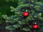 Christmas tree with two red Christmas ornaments hanging on it