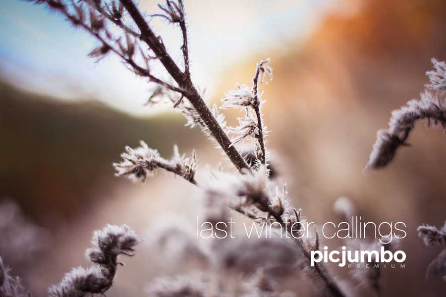 Last Winter Callings Photo Collection
