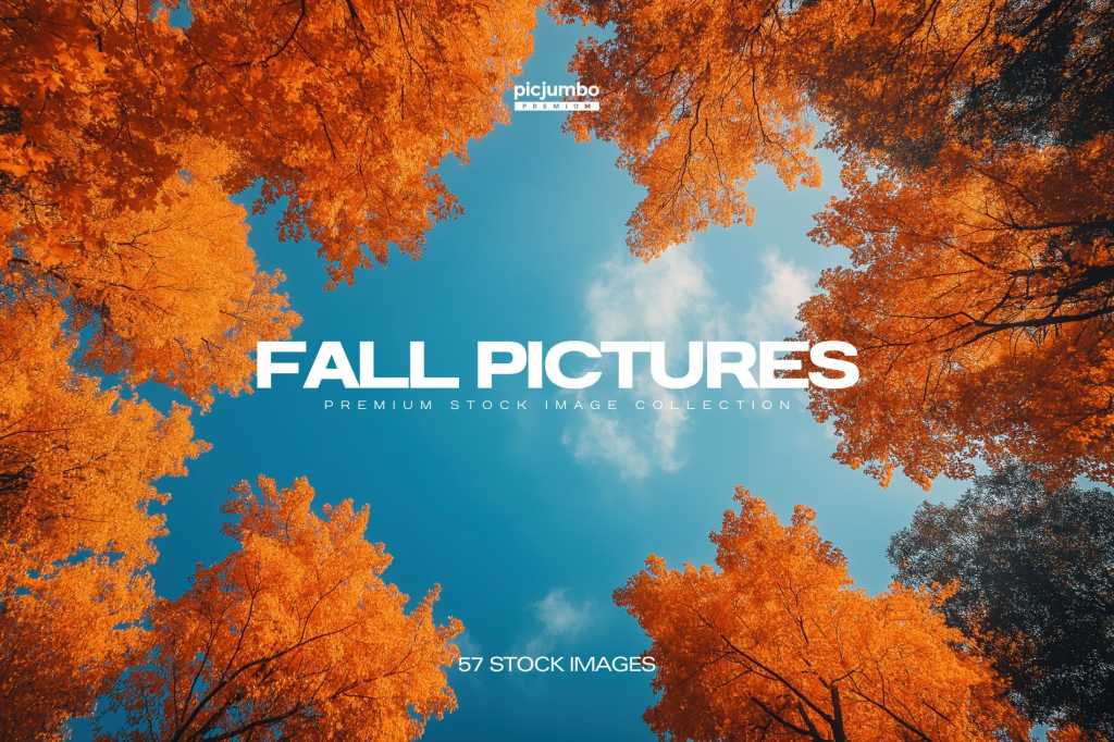 Fall Pictures Photo Collection