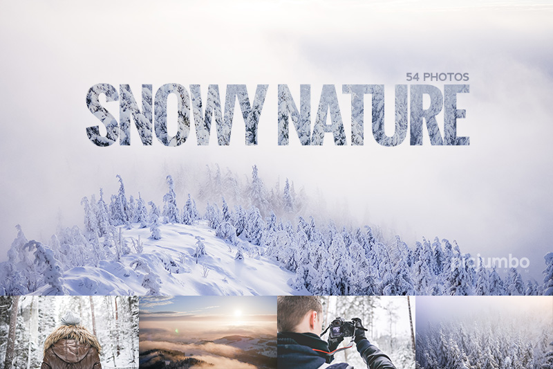 Snowy Nature Photo Collection