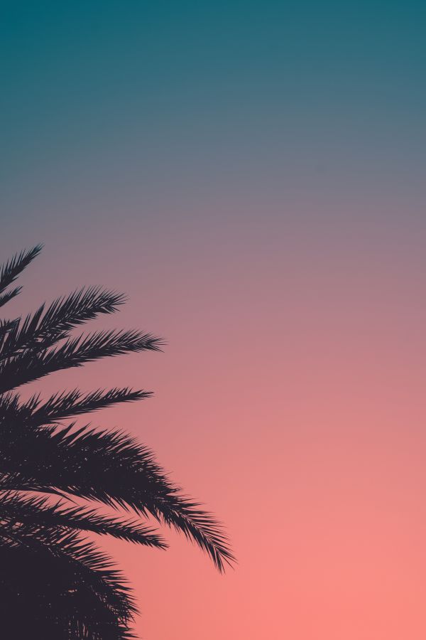 Vintage Tropical Color Gradient Smartphone Wallpaper Free Download